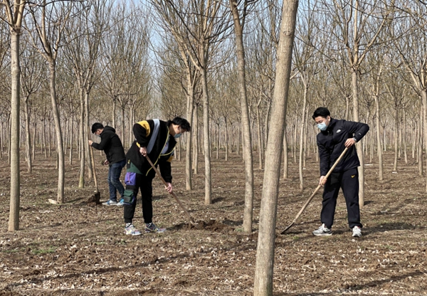 1617336790112844.jpg 3.jpg